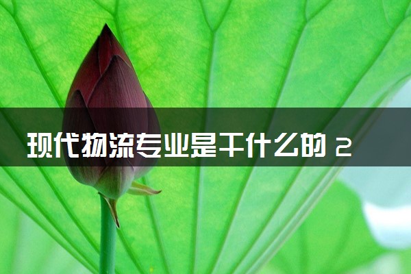 现代物流专业是干什么的 2024就业前景如何