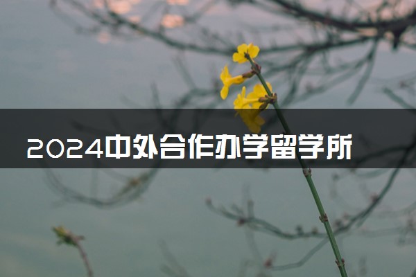 2024中外合作办学留学所获学历国家认可吗