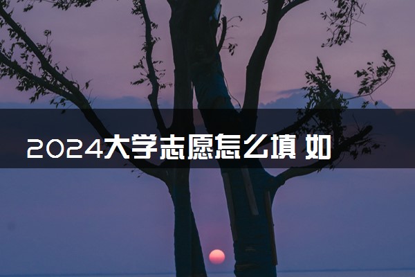 2024大学志愿怎么填 如何选择专业和学校