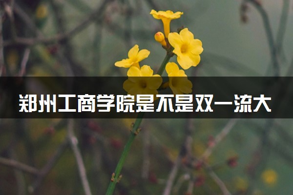 郑州工商学院是不是双一流大学 是名校吗评价怎么样好不好