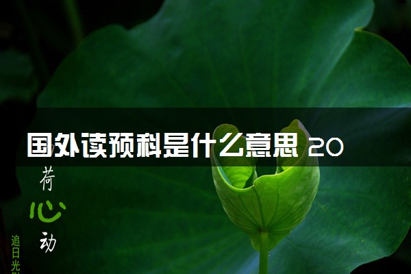 国外读预科是什么意思 2024需要什么条件