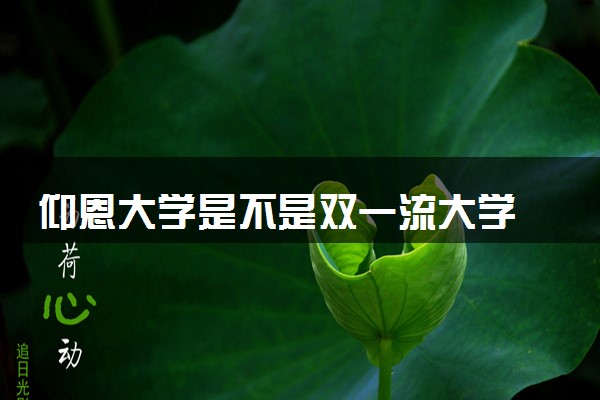 仰恩大学是不是双一流大学 是名校吗评价怎么样好不好