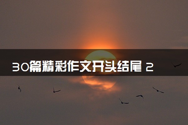 30篇精彩作文开头结尾 2024高考作文精选