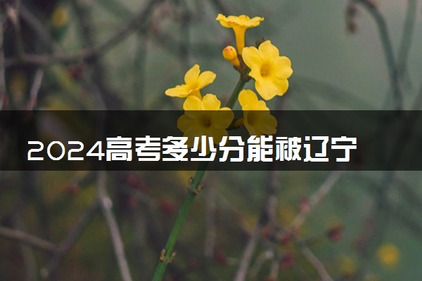 2024高考多少分能被辽宁工程技术大学录取（附2023各省最低录取分数线及位次）