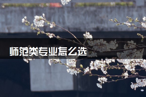师范类专业怎么选