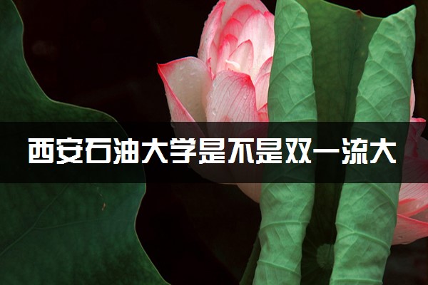 西安石油大学是不是双一流大学 是名校吗评价怎么样好不好