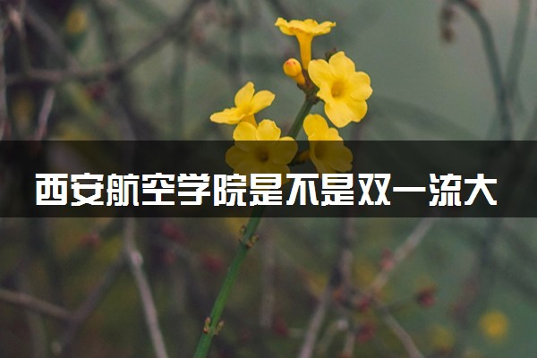 西安航空学院是不是双一流大学 是名校吗评价怎么样好不好