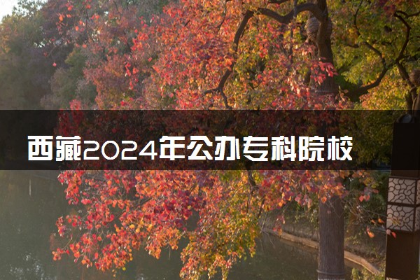 西藏2024年公办专科院校排行榜 最好的大学名单