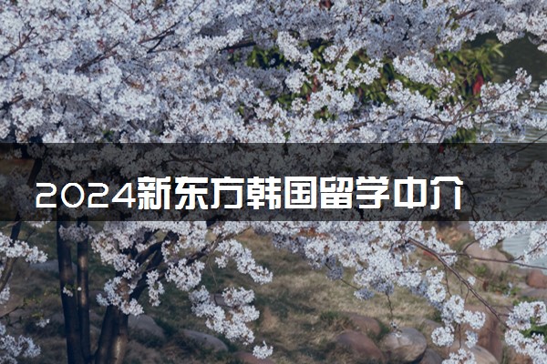 2024新东方韩国留学中介费多少钱 条件和要求是什么