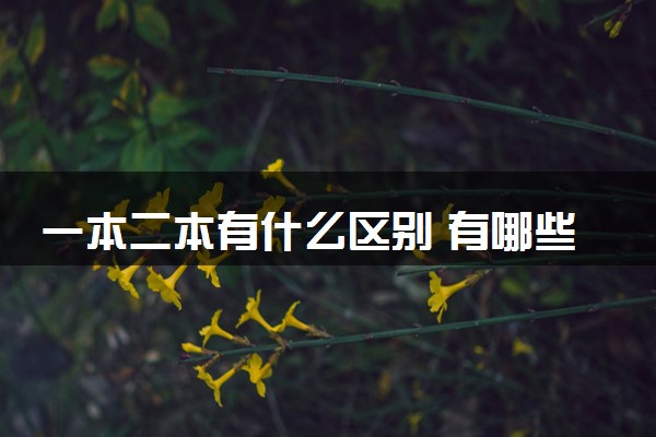 一本二本有什么区别 有哪些不同