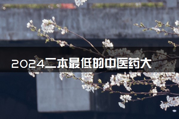 2024二本最低的中医药大学有哪些 适合捡漏医科大学名单