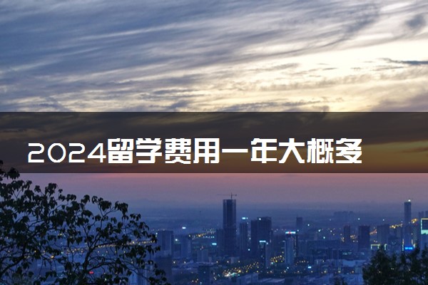 2024留学费用一年大概多少人民币 全额奖学金难吗