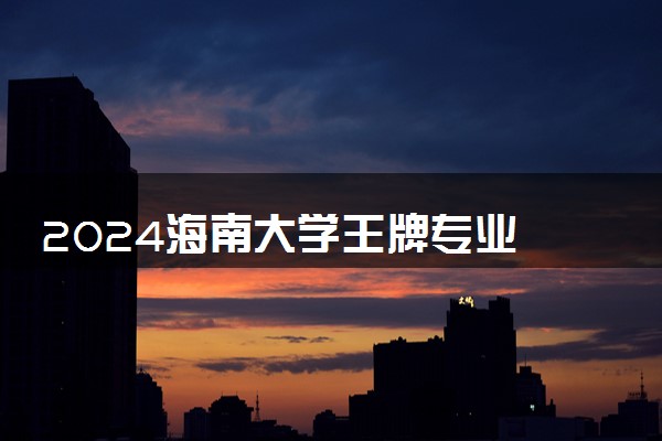 2024海南大学王牌专业 最好的专业是什么