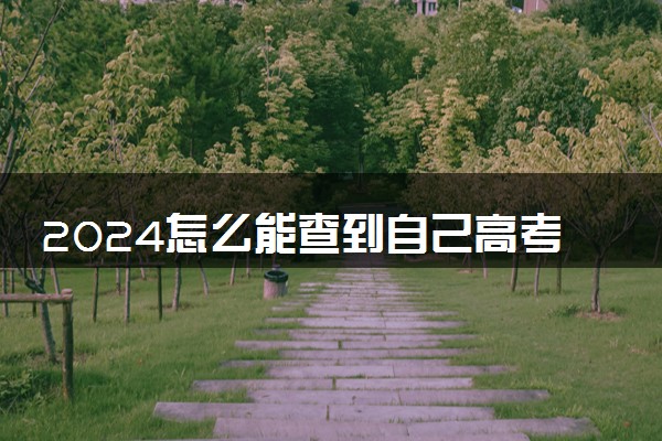 2024怎么能查到自己高考的考生号 去哪里查