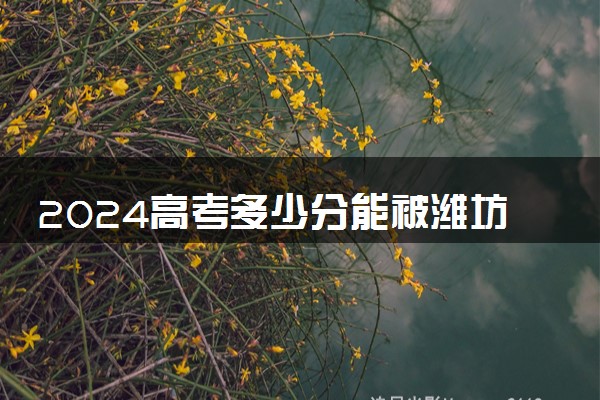 2024高考多少分能被潍坊工商职业学院录取（附2023各省最低录取分数线及位次）