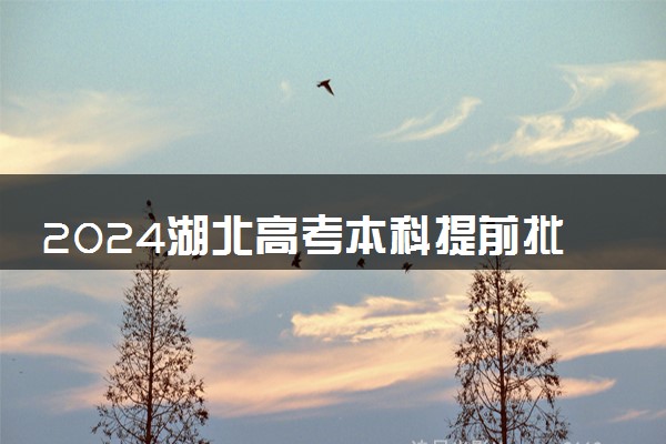 2024湖北高考本科提前批志愿填报时间 哪天开始报考