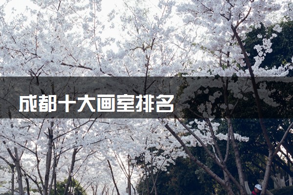 成都十大画室排名