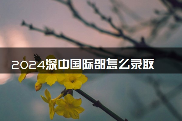 2024深中国际部怎么录取 学费多少