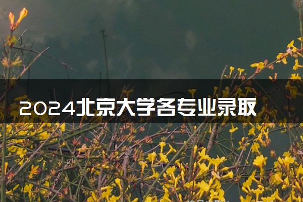 2024北京大学各专业录取分数线及位次 各省录取最低分是多少