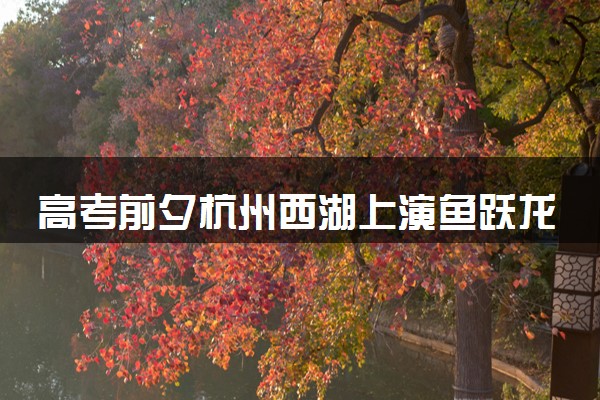 高考前夕杭州西湖上演鱼跃龙门 具体什么情况
