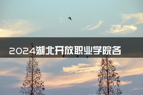 2024湖北开放职业学院各专业录取分数线及位次 各省录取最低分是多少