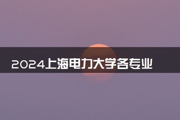 2024上海电力大学各专业录取分数线及位次 各省录取最低分是多少