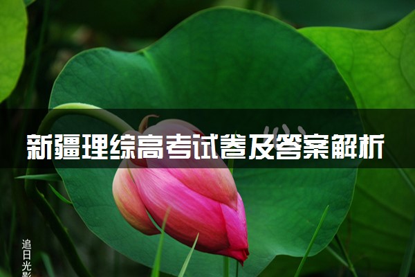 新疆理综高考试卷及答案解析 (2024考后更新)