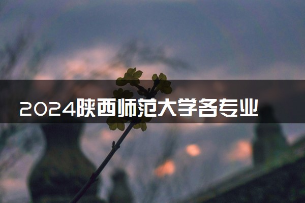 2024陕西师范大学各专业录取分数线及位次 各省录取最低分是多少