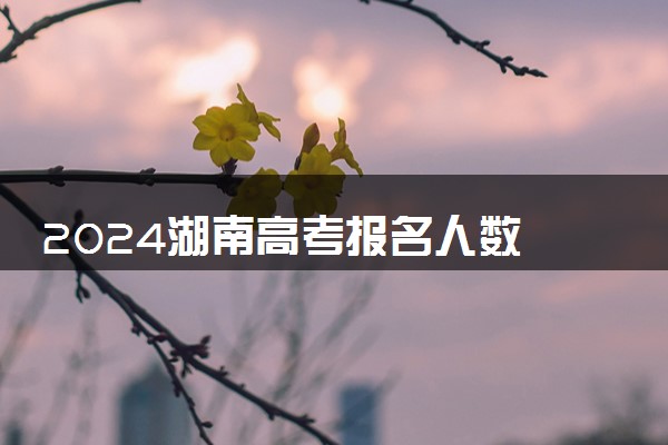 2024湖南高考报名人数 有多少考生考试