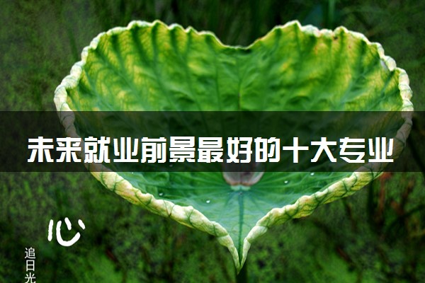 未来就业前景最好的十大专业 2024哪些专业吃香