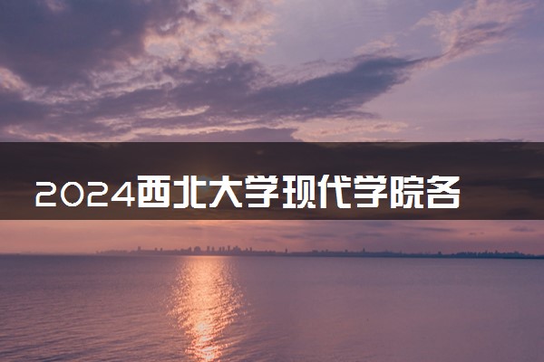 2024西北大学现代学院各专业录取分数线及位次 各省录取最低分是多少