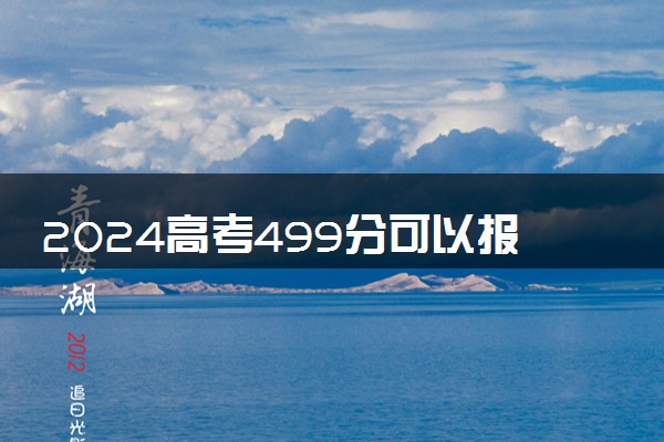 2024高考499分可以报哪些大学 499分左右能上的院校名单