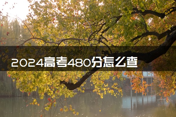 2024高考480分怎么查高校分数线 可以报考的大学有哪些