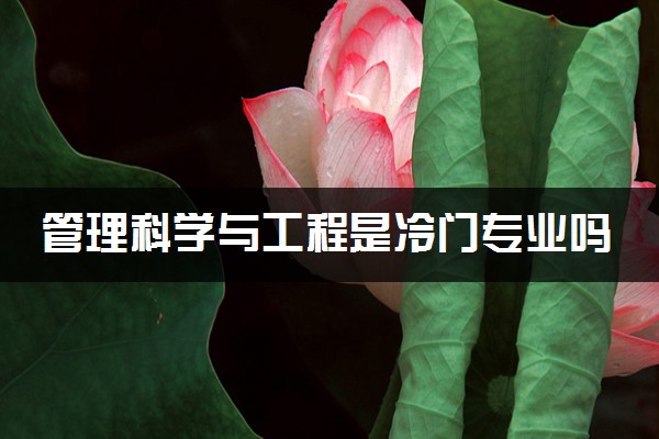 管理科学与工程是冷门专业吗 2024好找工作吗