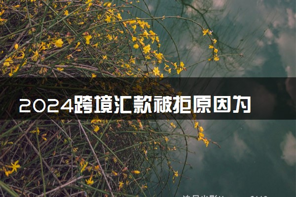 2024跨境汇款被拒原因为管理问题怎么办 多久退回