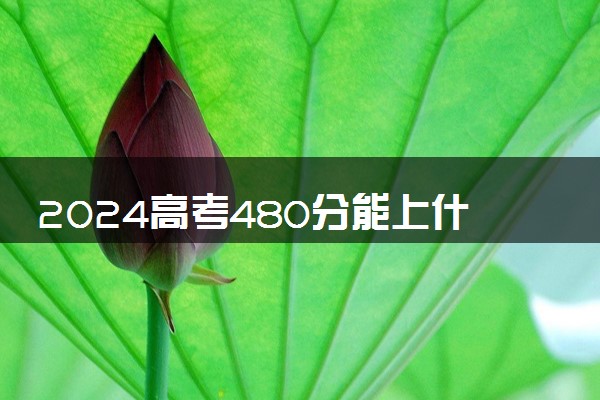 2024高考480分能上什么大学 哪些学校比较好