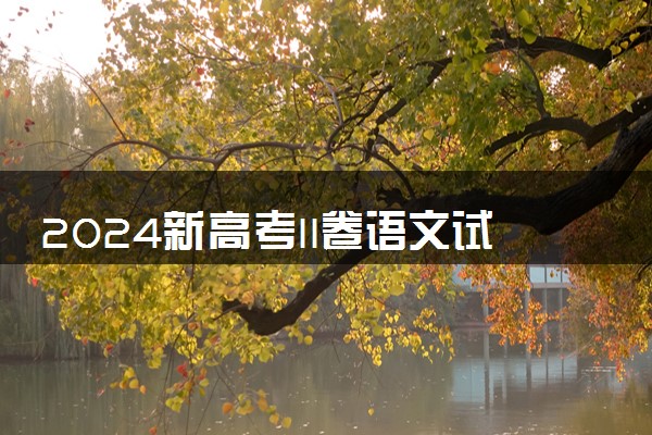 2024新高考II卷语文试题难不难