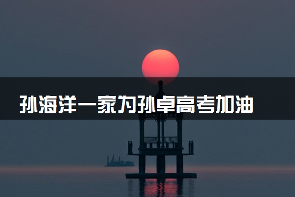 孙海洋一家为孙卓高考加油 具体什么情况