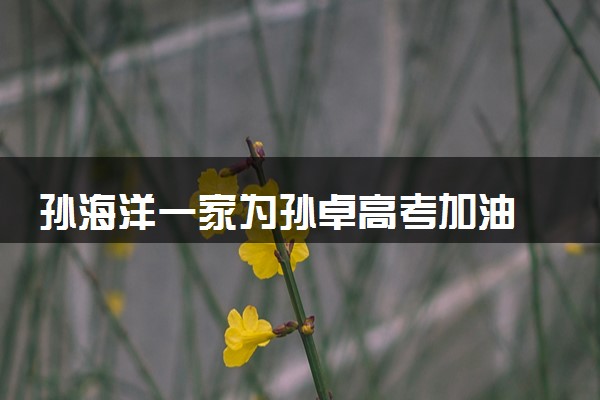 孙海洋一家为孙卓高考加油 家人不会穿旗袍应援