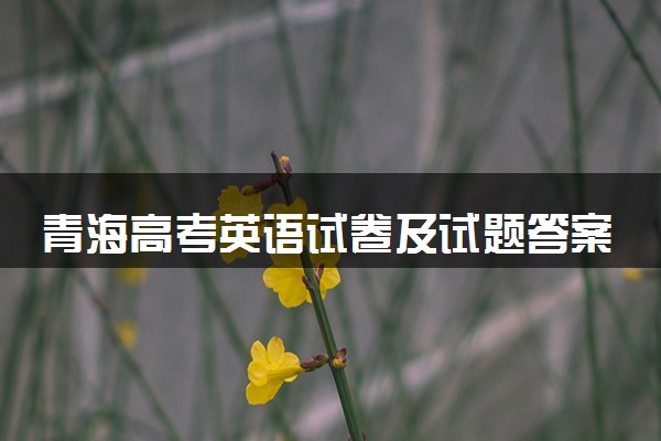 青海高考英语试卷及试题答案解析(2024考后更新)