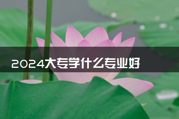 2024大专学什么专业好 什么专业最吃香