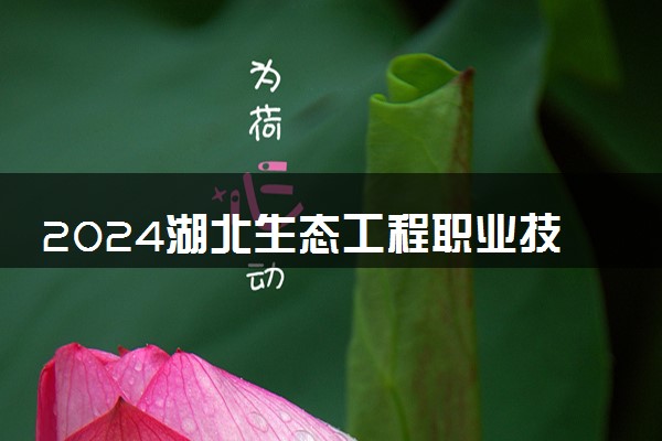 2024湖北生态工程职业技术学院各专业录取分数线及位次 各省录取最低分是多少