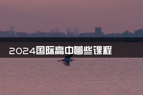 2024国际高中哪些课程 内容设置安排
