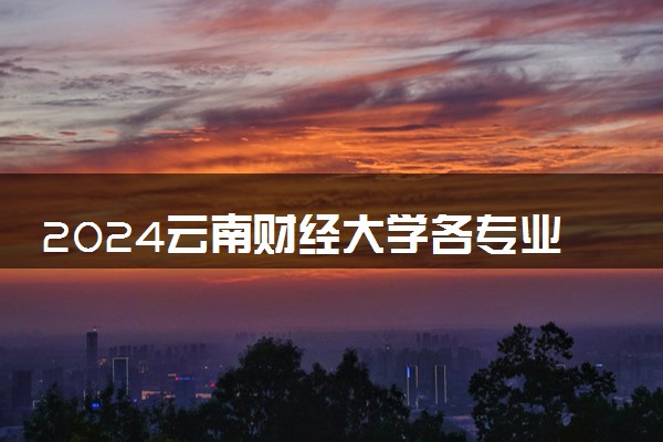 2024云南财经大学各专业录取分数线及位次 各省录取最低分是多少