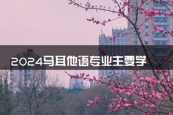 2024马耳他语专业主要学什么课程 就业前景及方向有哪些