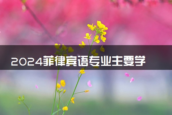 2024菲律宾语专业主要学什么课程 就业前景及方向有哪些