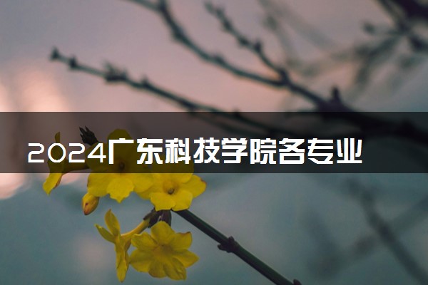 2024广东科技学院各专业录取分数线及位次 各省录取最低分是多少