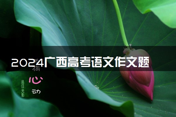 2024广西高考语文作文题目及解析