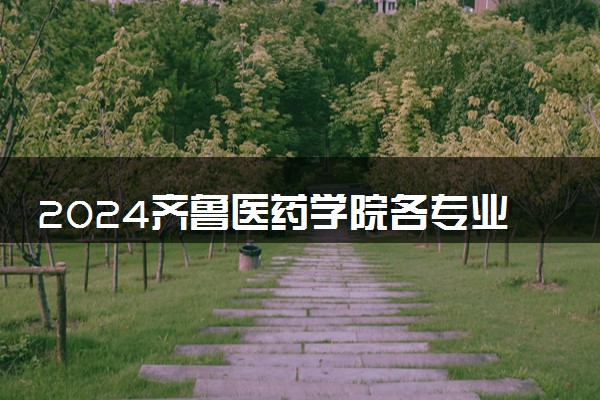 2024齐鲁医药学院各专业录取分数线及位次 各省录取最低分是多少