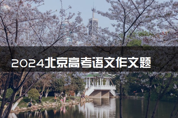 2024北京高考语文作文题目及解析